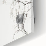 Vintage Botanical Art Prints – Elegant Branch Pencil Drawing