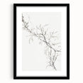 Vintage Botanical Art Prints – Elegant Branch Pencil Drawing
