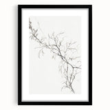 Vintage Botanical Art Prints – Elegant Branch Pencil Drawing