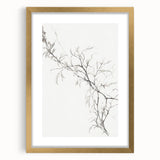 Vintage Botanical Art Prints – Elegant Branch Pencil Drawing