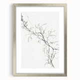 Vintage Botanical Art Prints – Elegant Branch Pencil Drawing