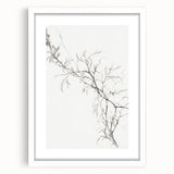 Vintage Botanical Art Prints – Elegant Branch Pencil Drawing