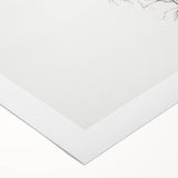 Vintage Botanical Art Prints – Elegant Branch Pencil Drawing