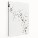 Vintage Botanical Art Prints – Elegant Branch Pencil Drawing