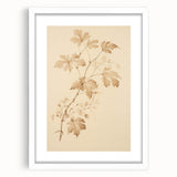 Vintage Botanical Art Prints – Soft Beige Leaf Illustration