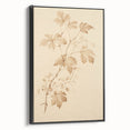 Vintage Botanical Art Prints – Soft Beige Leaf Illustration