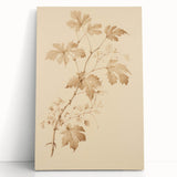 Vintage Botanical Art Prints – Soft Beige Leaf Illustration