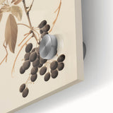 Vintage Botanical Art Prints – Branch with Berries Illustration