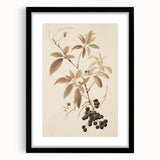 Vintage Botanical Art Prints – Branch with Berries Illustration