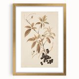 Vintage Botanical Art Prints – Branch with Berries Illustration