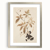 Vintage Botanical Art Prints – Branch with Berries Illustration