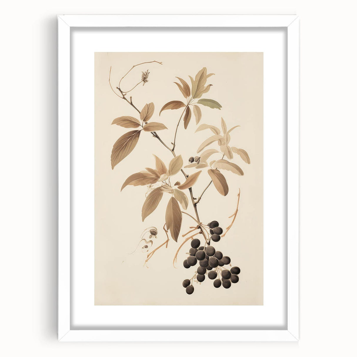 Vintage Botanical Art Prints – Branch with Berries Illustration