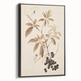 Vintage Botanical Art Prints – Branch with Berries Illustration