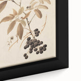 Vintage Botanical Art Prints – Branch with Berries Illustration