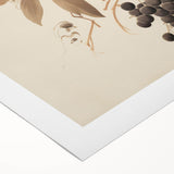 Vintage Botanical Art Prints – Branch with Berries Illustration