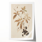 Vintage Botanical Art Prints – Branch with Berries Illustration