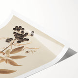 Vintage Botanical Art Prints – Branch with Berries Illustration