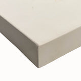 Vintage Botanical Art Prints – Branch with Berries Illustration