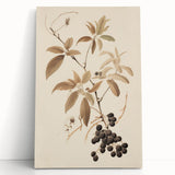 Vintage Botanical Art Prints – Branch with Berries Illustration
