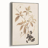 Vintage Botanical Art Prints – Branch with Berries Illustration