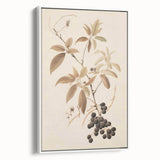 Vintage Botanical Art Prints – Branch with Berries Illustration
