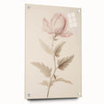 Vintage Botanical Art Prints – Soft Pink Flower Illustration