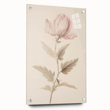 Vintage Botanical Art Prints – Soft Pink Flower Illustration