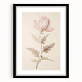 Vintage Botanical Art Prints – Soft Pink Flower Illustration