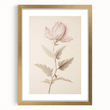 Vintage Botanical Art Prints – Soft Pink Flower Illustration
