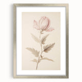 Vintage Botanical Art Prints – Soft Pink Flower Illustration