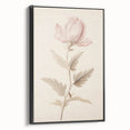 Vintage Botanical Art Prints – Soft Pink Flower Illustration