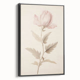 Vintage Botanical Art Prints – Soft Pink Flower Illustration