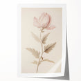 Vintage Botanical Art Prints – Soft Pink Flower Illustration