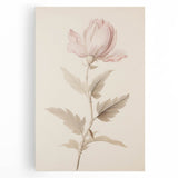 Vintage Botanical Art Prints – Soft Pink Flower Illustration