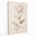 Vintage Botanical Art Prints – Soft Pink Flower Illustration