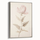 Vintage Botanical Art Prints – Soft Pink Flower Illustration
