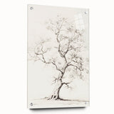 Vintage Botanical Art Prints – Pencil Tree Illustration