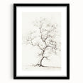 Vintage Botanical Art Prints – Pencil Tree Illustration