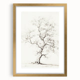 Vintage Botanical Art Prints – Pencil Tree Illustration