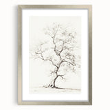 Vintage Botanical Art Prints – Pencil Tree Illustration