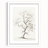 Vintage Botanical Art Prints – Pencil Tree Illustration