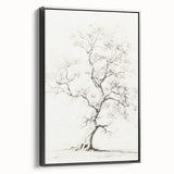 Vintage Botanical Art Prints – Pencil Tree Illustration