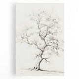 Vintage Botanical Art Prints – Pencil Tree Illustration