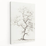 Vintage Botanical Art Prints – Pencil Tree Illustration