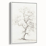 Vintage Botanical Art Prints – Pencil Tree Illustration