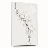 Vintage Botanical Art Prints – Delicate Branch Pencil Drawing