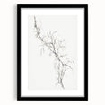 Vintage Botanical Art Prints – Delicate Branch Pencil Drawing