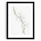 Vintage Botanical Art Prints – Delicate Branch Pencil Drawing