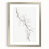 Vintage Botanical Art Prints – Delicate Branch Pencil Drawing