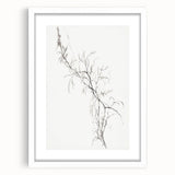 Vintage Botanical Art Prints – Delicate Branch Pencil Drawing